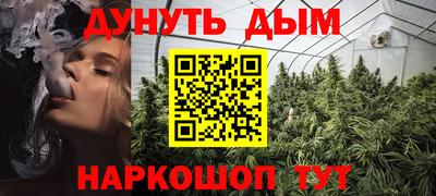 индика Пушкино