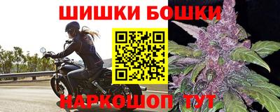 индика Пушкино