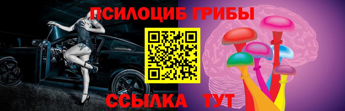 Псилоцибиновые грибы мухоморы Нижний Новгород