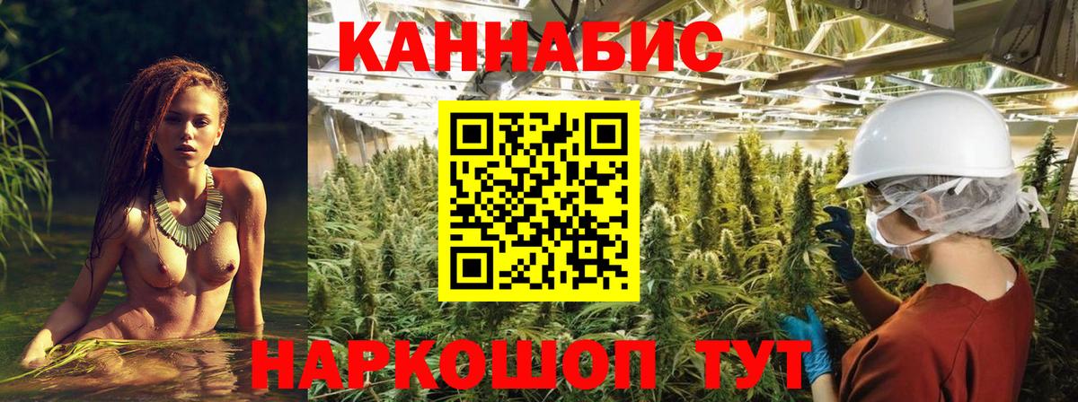 Бошки марихуана семена  Вход с VPN  Нижний Новгород  Канабис VHQ  Канабис THC 21%  МАРИХУАНА Ganja 